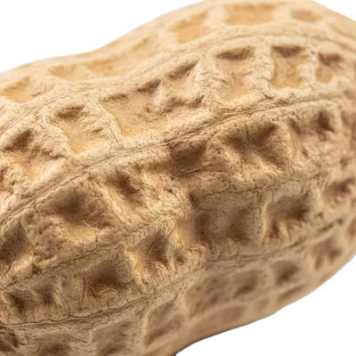 Imagen PNG para descargar